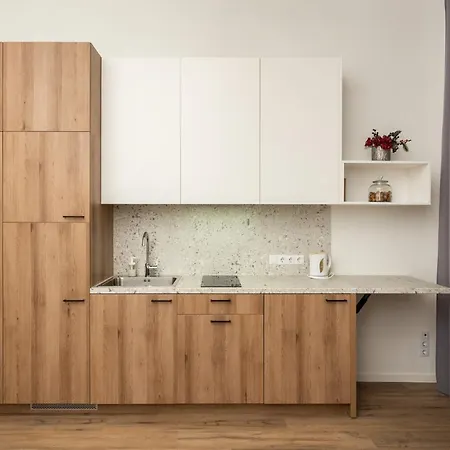 Apartment Air 217